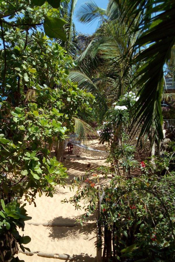 Maria Teresa Braganca Pousada Jijoca de Jericoacoara Luaran gambar